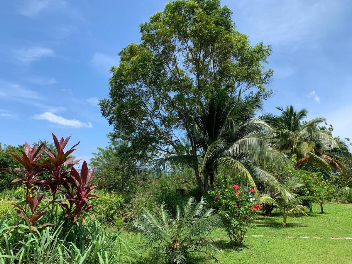 Lovely Garden Villas Pantai Cenang  Zewnętrze zdjęcie