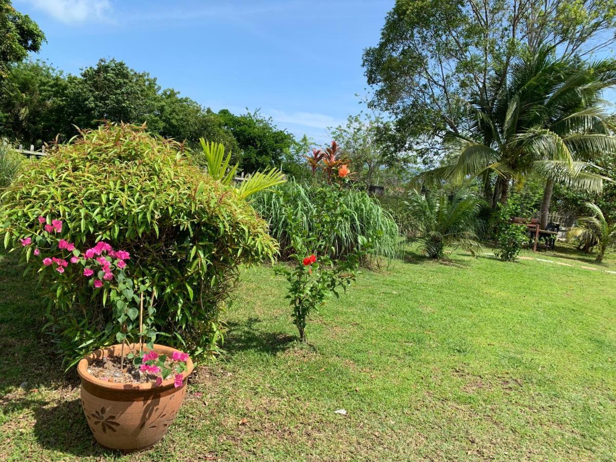 Lovely Garden Villas Pantai Cenang  Zewnętrze zdjęcie